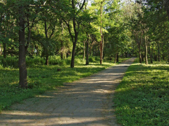 В ростовском сквере Чуковского до конца года пообещали сделать тратуар и ограждения