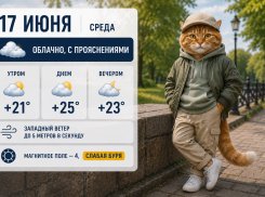 Слабый ветер и переменная облачность ожидается в Ростове
