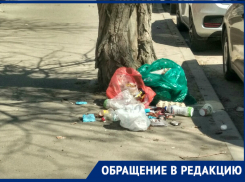 «Люди — свиньи. Но куда смотрят чиновники?»: ростовчанка о мусорных кучах в центре города
