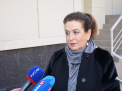 «Золотые» томографы, фейковые инвалиды, кислородные скандалы и мусор для своих: пять громких историй, связанных с экс-главой донского минздрава Быковской