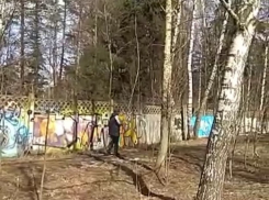 Скользящая лыжами по грязной земле пенсионерка вызвала дикий хохот у жителей Ростовской области