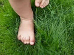 Пропавшего вечером 4-летнего мальчика утром обнаружили спящим в траве в Ростовской области