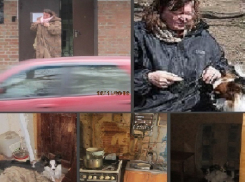 Обиженный ухажер опозорил и обвинил ростовчанку в жестоком обращении с животными