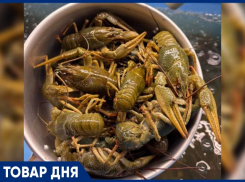 ТОВАР ДНЯ: Рак «Маныч» Отборный — 2099 рублей за килограмм