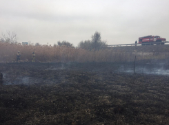 Крупный ландшафтный пожар под Ростовом потушили почти за шесть часов