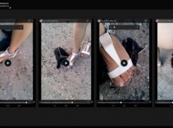 Ростовская полиция начала проверку по видео с издевательством над котенком