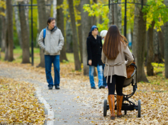 До +21 и ясную, солнечную погоду обещают синоптики жителям Ростова в этот вторник