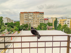 Исследование Домклик: Ростов-на-Дону вошёл в рейтинг самых востребованных городов для посуточной аренды жилья на предстоящие новогодние праздники 