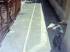 В Ростове задержали Юлия Цезаря, напавшего на синагогу в Украине