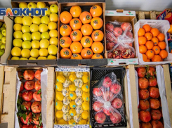 Ростовчан приглашают за свежими продуктами на ярмарку «Гарант-Торг»