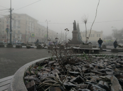 Предстоящая неделя на Дону обещает быть ветренной и снежной