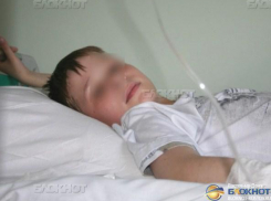 В Ростовской области двое подростков попали в больницу, отравившись дурман-травой