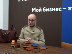 Более 500 новых предпринимателей ежегодно регистрируется в Ростовской области с господдержкой