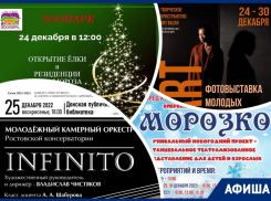 Открываем елку, учимся доброте с Морозко и слушаем Брамса: куда пойти в Ростове на этой неделе