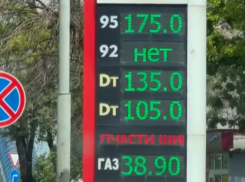 В Аксайском районе цена на АИ-95 достигла 175 рублей за литр