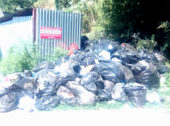 Горы гниющего мусора на роднике Сурб Хач поразили ростовчан