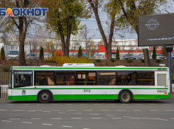 Отмену автобусного маршрута 1А прокомментировали в ростовском дептрансе