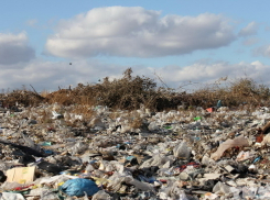Гигантскую гору мусора  вывезли на полигон с окраин Батайска в Ростовской области
