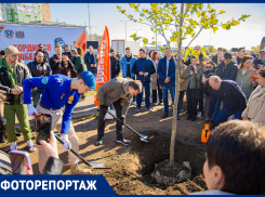 В День древонасаждения более трех тысяч деревьев и шесть тысяч кустарников высадили в Ростове