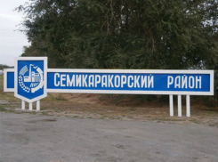 «Послала на три буквы и ударила в зубы»: фельдшер-депутат держит в страхе жителей ростовского хутора