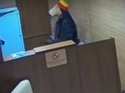 Оголодавший конь в пальто совершил налет на холодильник сауны под Ростовом и попал на видео