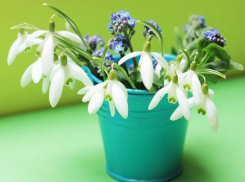 В Ростове температура поднимется до +18