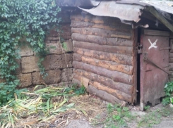 Часть старинной крепости обнаружили за сараями жители дома в центре Ростова 