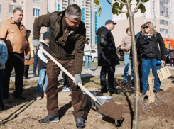 Алексей Логвиненко принял участие в создании «Аллеи отцов» в Ростове
