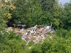 С устроившим свалку в заповедной зоне ростовчаниным провели беседу