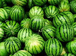 Арбузы и дыни в Ростовской области подорожают на 15% в 2024 году