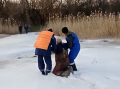В Ростовской области рыбак едва не утонул, провалившись под лед