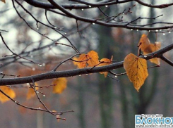 Последняя неделя осени в Ростове будет дождливой, столбик термометра опустится до минусовых температур 