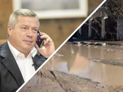Соседи губернатора Голубева присоединились к флешмобу #ПозвониВасилию
