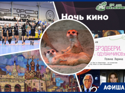 Ищем «Русскую Атлантиду», устраиваем «Ночь кино» и угощаем сурикатов: куда пойти в Ростове на этой неделе