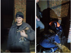 В Ростове спасатели вытащили той-терьера из вентиляционной шахты многоэтажного дома