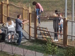 Ленивые ростовчане устроили «побег» со школьной линейки через закрытые ворота для мусоровозов
