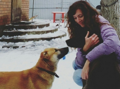 Ростовская дворняжка со страшным диагнозом смогла выжить благодаря заботе новых хозяев