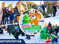 В Ростове установили новый рекорд по метанию елок: фоторепортаж