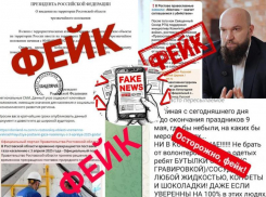 Поддельный губернатор и картофельная паника: какие фейки распространяют на Дону и как их распознать