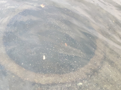 Уникальную находку обнаружили поисковики на дне Донца в Ростовской области