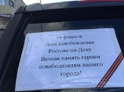 Отмечать День освобождения Ростова от фашистов вместо Дня влюбленных призвали жителей донской столицы
