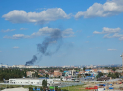 В Ростове на Вавилова загорелись мусорные баки 