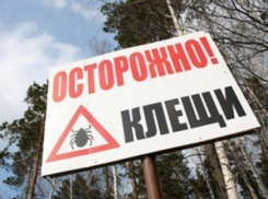 В Ростовской области 56 человек заразились Крымской геморрагической лихорадкой 