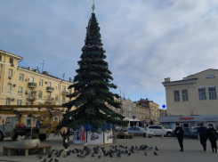 В Ростове в разных районах города начали установку новогодних елок