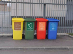 В ростовских школах появятся урны для пластика и макулатуры