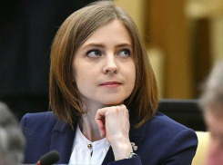 Наталья Поклонская заинтересовалась судьбой задержанного банкира из Ростова