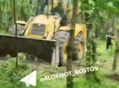 Бастрыкин поставил на контроль вопрос о вырубке рощи в донском хуторе 