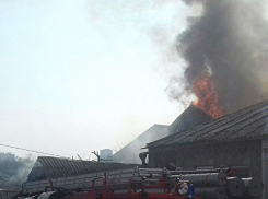 Загоревшиеся два дома вынудили полицию перекрыть улицы Ростова