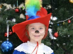 Улыбчивый кот в сапогах Екатерина в конкурсе «Звездочки Нового года-2017»