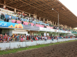 Несмотря на судебные споры Ростовский ипподром открывает 124-й скаковой сезон